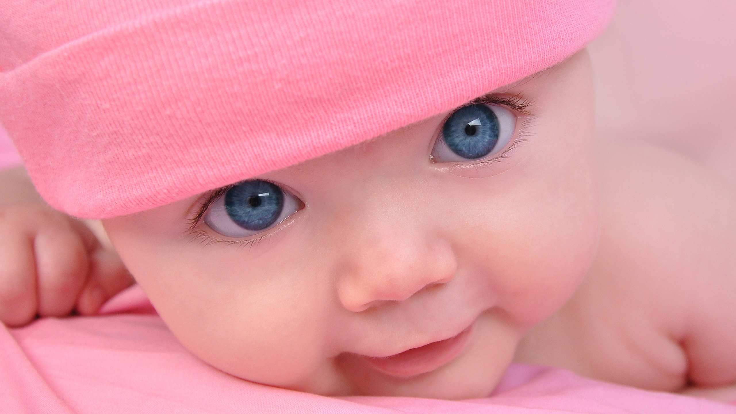 捐卵机构各国试管婴儿成功率